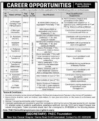 Medical Officer Positions at PAEC Foundation